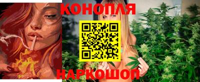 прущие грибы Северобайкальск