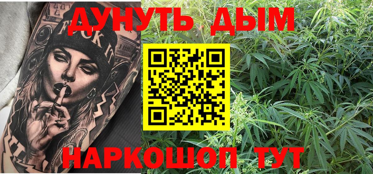 Конопля сатива Сатка